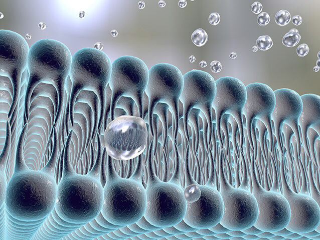 Hydrophobic Material illustration shows how water molecules separate from Hydrophobic material.